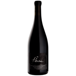 Domaine Jean Foillard Morgon 3,14 2017