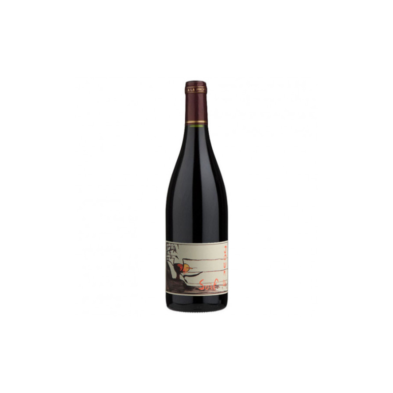 Domaine Du Bel Air Bourgueil Jour de Soif 2024