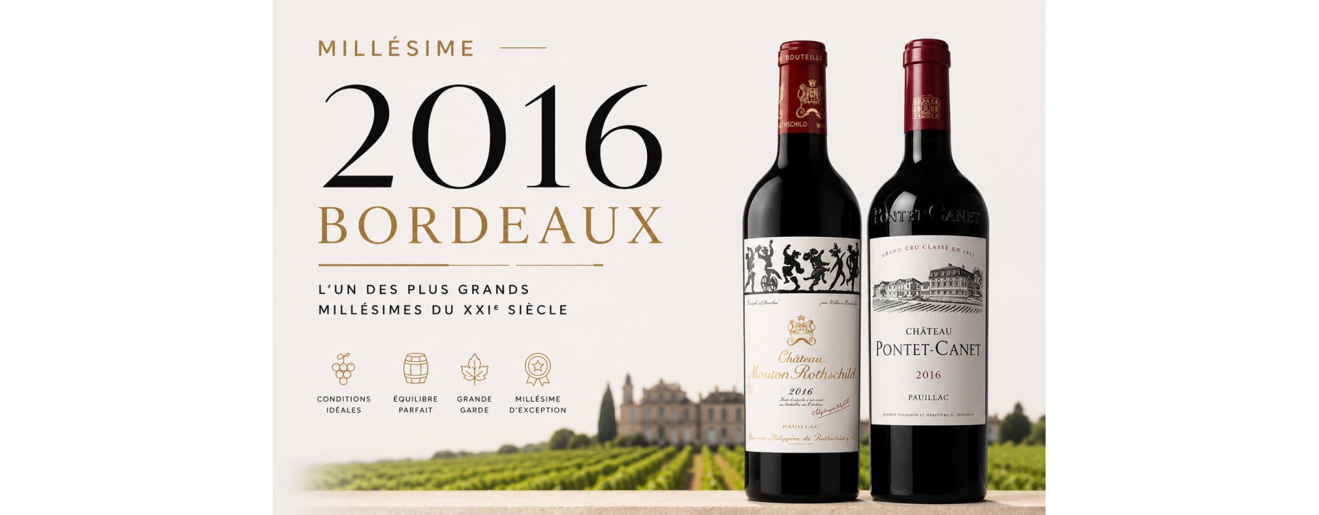 Millésime 2016 à Bordeaux : l'un des plus grands millésimes du XXIᵉ siècle