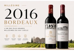 Millésime 2016 à Bordeaux : l'un des plus grands millésimes du XXIᵉ siècle