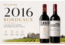 Millésime 2016 à Bordeaux : l'un des plus grands millésimes du XXIᵉ siècle
