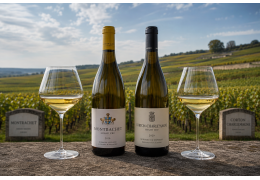 Montrachet vs Corton-Charlemagne : quel est le plus grand vin blanc de Bourgogne ?